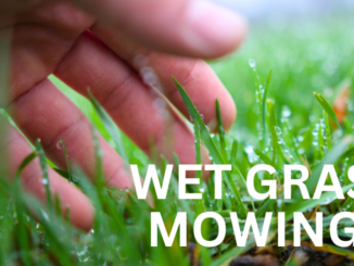 Can You Use An Electric Lawn Mower On Wet Grass or In the Rain?
